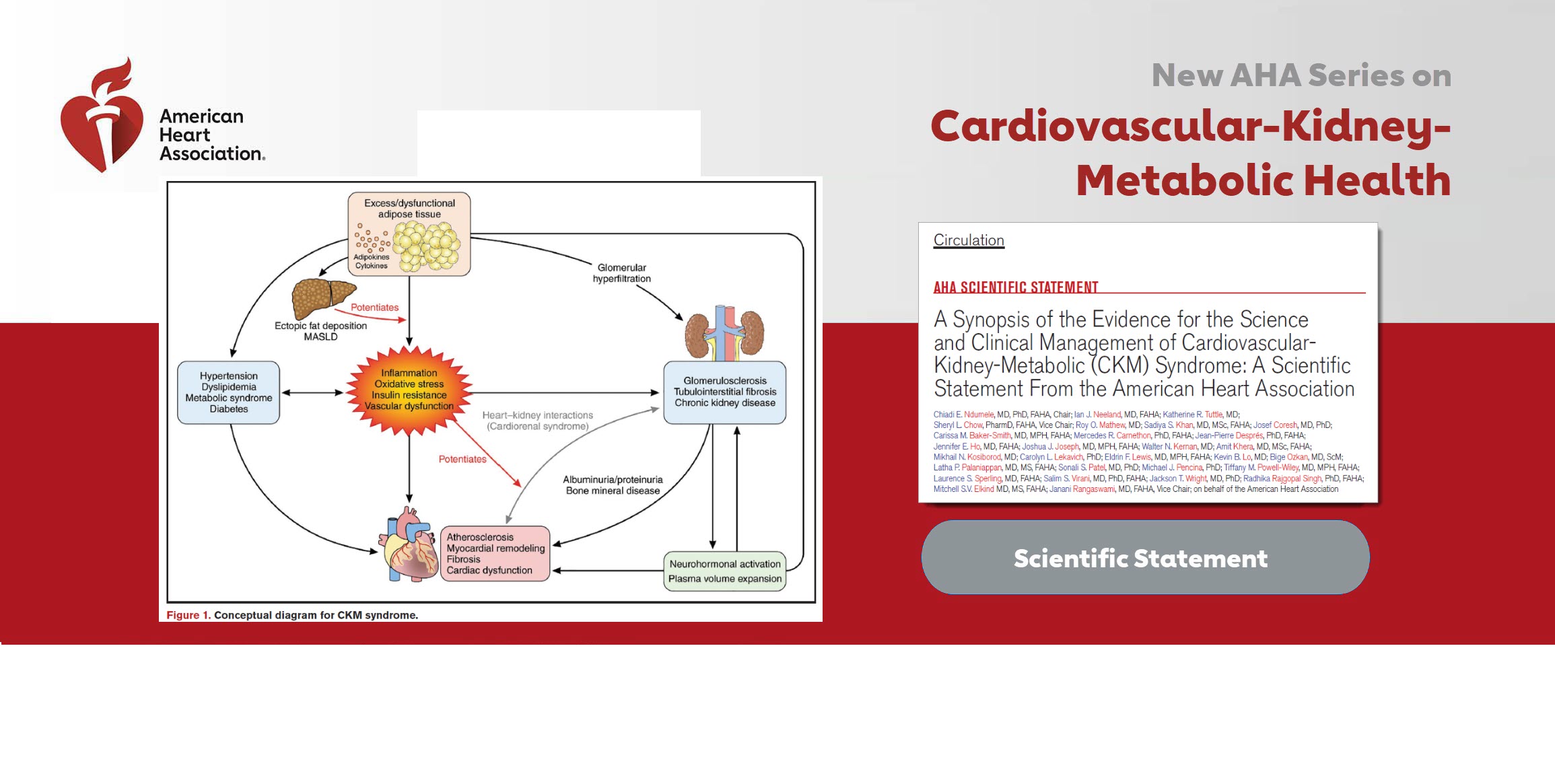 Cardiovascular-Kidney-Metabolic Health